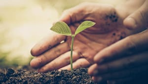 Duurzame crypto Ecoterra haalt $350.000 op in presale