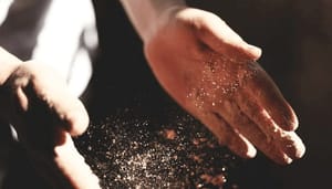Sterke_handen_kopen_nu_bitcoins_van_zwakke_handen Sterke handen kopen nu bitcoins van zwakke handen