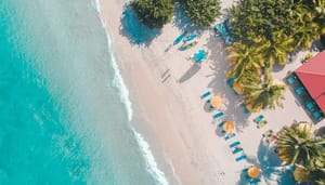 TRON_CEO_Justin_Sun_stapt_op_wordt_ambassadeur_van_Grenada TRON CEO Justin Sun stapt op, wordt ambassadeur van Grenada