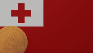 Tonga-bitcoin-vulkaan-donaties Tonga accepteert bitcoin donaties na enorme vulkaanuitbarsting