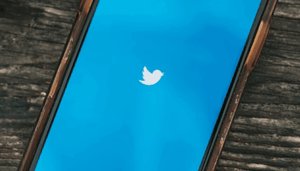 Twitter_zal_voorlopig_niet_in_bitcoin_BTC_investeren_zo_stelt_CFO_Ned_Segal Twitter zal voorlopig niet in bitcoin (BTC) investeren, zo stelt CFO Ned Segal