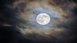Video Nog 13 dagen voordat bitcoin 'to the moon' gaat