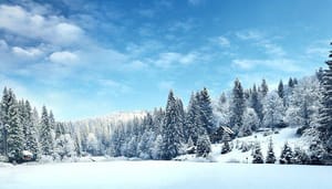 Winter-NFT-crypto ‘NFT winter’ wordt steeds kouder, handelsvolume daalt opnieuw