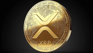 XRP-jed-mccaleb-dump Ripple analisten: XRP koers eerst flink omhoog, dan hard omlaag