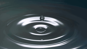 XRP_houders_uitgesloten_van_Ripple_rechtszaak_met_SEC_krijgen_wel_amici_curiae_status XRP houders uitgesloten van Ripple rechtszaak met SEC, krijgen wel amici curiae status