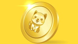 babydoge BABYDOGE koers-analyse: beursnotering zorgt voor flinke stijging