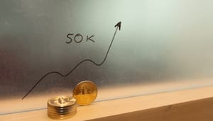 bitcoin-50k Populaire analist Raoul Pal voorspelt bitcoin koers van $50.000