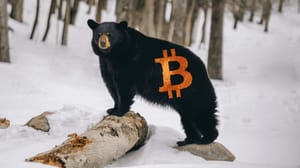 bitcoin-beer Bitcoin bear market en crypto winter