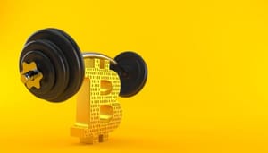 bitcoin-groot-dood 'Bitcoin is té groot om dood te gaan' zegt investeerder