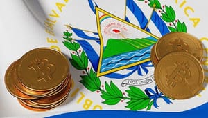 bitcoin-land-el-salvador-obligaties 'Goed moment om obligaties van bitcoin land El Salvador te kopen'