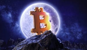 bitcoin-luna Bitcoin houders blijven BTC inslaan na Terra (LUNA) crash