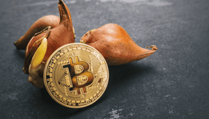bitcoin-tulpen Bitcoin en de tulpenmanie vergeleken en ontkracht