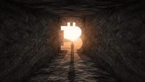 bitcoin-tunnel De een na grootste bitcoin bezitter ter wereld is geïdentificeerd