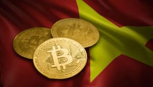 bitcoin-vietnam Vietnam opnieuw nummer 1 in crypto adoptierace