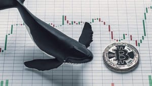 bitcoin-whale-BTC-kopen Grootste bitcoin whale blijft de dip kopen, 481 BTC in 7 dagen tijd