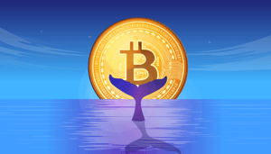 bitcoin-whale Crypto rally: whales slaan in, maar experts uiten zorgen over bitcoin