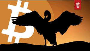 bitcoin_BTC_koers_heeft_te_maken_met_zwarte_zwaan_aldus_willy_woo