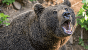 bitcoin_bearish_door_correlatie_traditionele_markt_john_bekijkt_ethereum_XRP_litecoin Bitcoin koers sluit de week bearish af! John bekijkt ethereum, dogecoin, shiba inu en binance coin