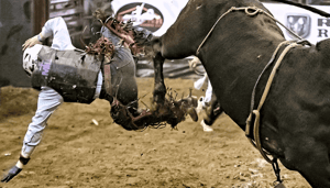 bitcoin_bulls_nemen_het_over_john_bekijkt_cardano_ethereum_polkadot_cakeswap_binance_coin