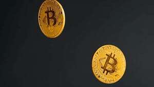Video: De bitcoin koers crash aftermath
