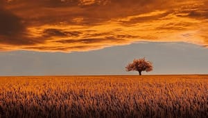 Bitcoin schudde veel beleggers uit de boom, waar liggen de kansen?