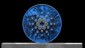 cardano-ada-wallets-record Cardano investeerders met $100 tot $100.000 aan ADA bereikt record