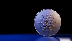 cardano-ada-wallets Aantal nieuwe dagelijkse Cardano wallets stijgt met 167%