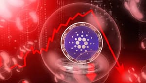 cardano-crash Crypto-markt blijft bloeden: cardano en shiba inu dalen ‘t hardst