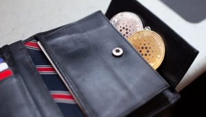 cardano-wallet Cardano komt met Lace: Een nieuwe light wallet