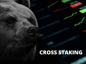 cross-staking Cross Staking beschermt crypto beleggers tegen bear-markt