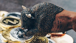 crypto-bullmarkt Volgende crypto bullmarkt staat voor de deur, zegt enorm fonds