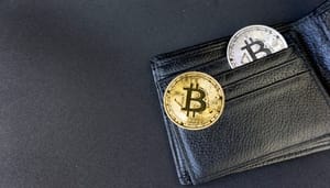 crypto-wallets-beveiliging 6 manieren om je crypto-munten veilig op te slaan