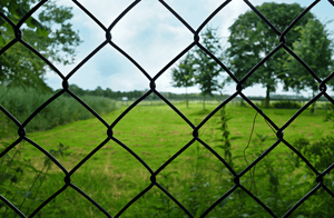 denied-1 Amerikaanse_SEC_verwerpt_aanvraag_voor_bitcoin_BTC_spot_ETF_door_VanEck