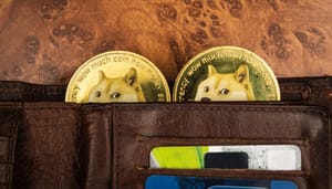 doge-wallet Is deze mysterieuze Dogecoin wallet van $24 miljard van Elon Musk?