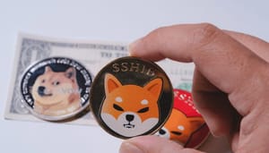 dogecoin-shiba-inu-populair Shiba Inu populairder dan dogecoin onder Europese investeerders