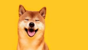 Shiba Inu lanza una versión beta para Shibarium llamada "Puppynet"