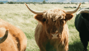drie_bullish_grafieken_voor_bitcoin_koers_john_bekijkt_ethereum_shiba_inu_komodo_pancakeswap Spring naar de hoofdinhoudSpring naar toolbar Over WordPress Crypto Insiders JNews 00 reacties in afwachting Nieuw SEOEnter a focus keyphrase to calculate the SEO score WP Rocket Hallo Niels Poerwoatmodjo Uitloggen SchermoptiesHulp Nieuw bericht toevoegen Awesome! You have been using Advanced DB Cleaner for more than 1 week. Would you mind taking a few seconds to give it a 5-star rating on WordPress? Thank you in advance :) Ok, you deserved it