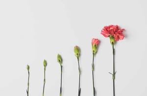 edward-howell-VlTJdP8ZY1c-unsplash-1 The Graph (GRT) maakt bounce op onderkant van het trendkanaal