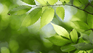 groen_weekend_voor_altcoins_john_bekijkt_bitcoin_ethereum_polygon_chainlink Gaan altcoins een groen weekend zien? John bekijkt de koers van ethereum, chainlink en polygon