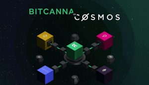 Het Nederlandse BitCanna updatet naar Cosmos blockchain-technologie