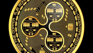 ripple-xrp-advocaat-haalt-uit Ripple Advocaat Haalt Hard Uit naar SEC