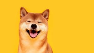 Binance ziet grootste inflows van Shiba Inu (SHIB) sinds februari