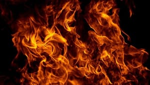 shiba-inu-burn-portal Shiba inu lanceert burn portal: vernietig je SHIB voor beloning