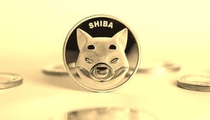 shiba-inu-metaverse Shiba inu kan eindelijk in metaverse gebruikt worden
