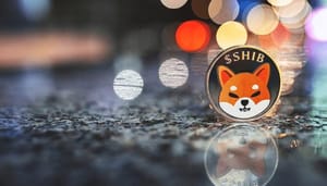 shiba-inu-munt-hodl-coinbase Dogecoin analisten waarschuwen voor shiba inu koersvoorspelling