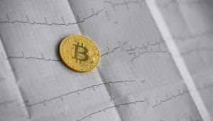 shutterstock_1262896591-1-1 Drie redenen waarom bitcoin nooit naar $0 zal gaan