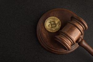 shutterstock_1789924433 Hoe realistisch is een Amerikaans verbod op Bitcoin?