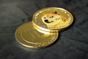 Dogecoin,Cryptocurrency,In,Close-up,On,A,Dark,Background Dit zijn de grootste dogecoin-wallets, is Elon Musk nummer 1?