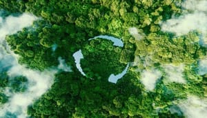 shutterstock_2042393249-1 5 Duurzame Cryptomunten - Ontdek de Beste Groene Crypto Projecten