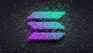 solana-NFTs Voormalig FTX president zoekt $6 miljoen voor nieuwe crypto startup